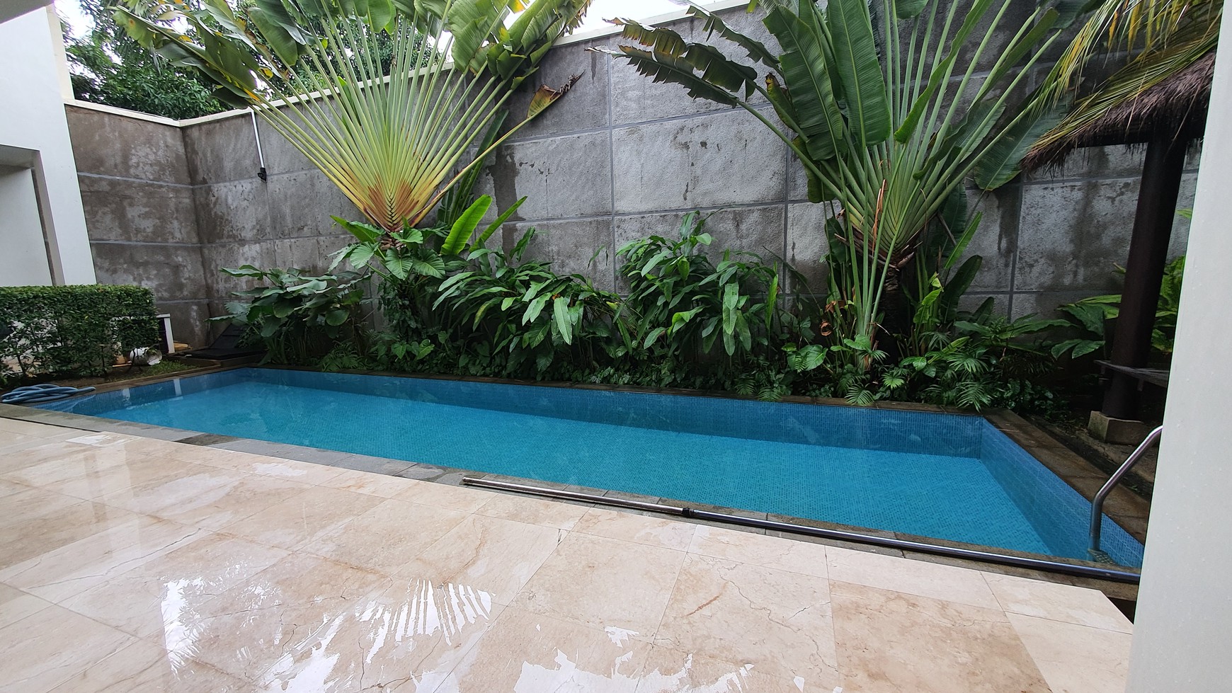 Bright and Cozy House with nice Backyard in Kemang