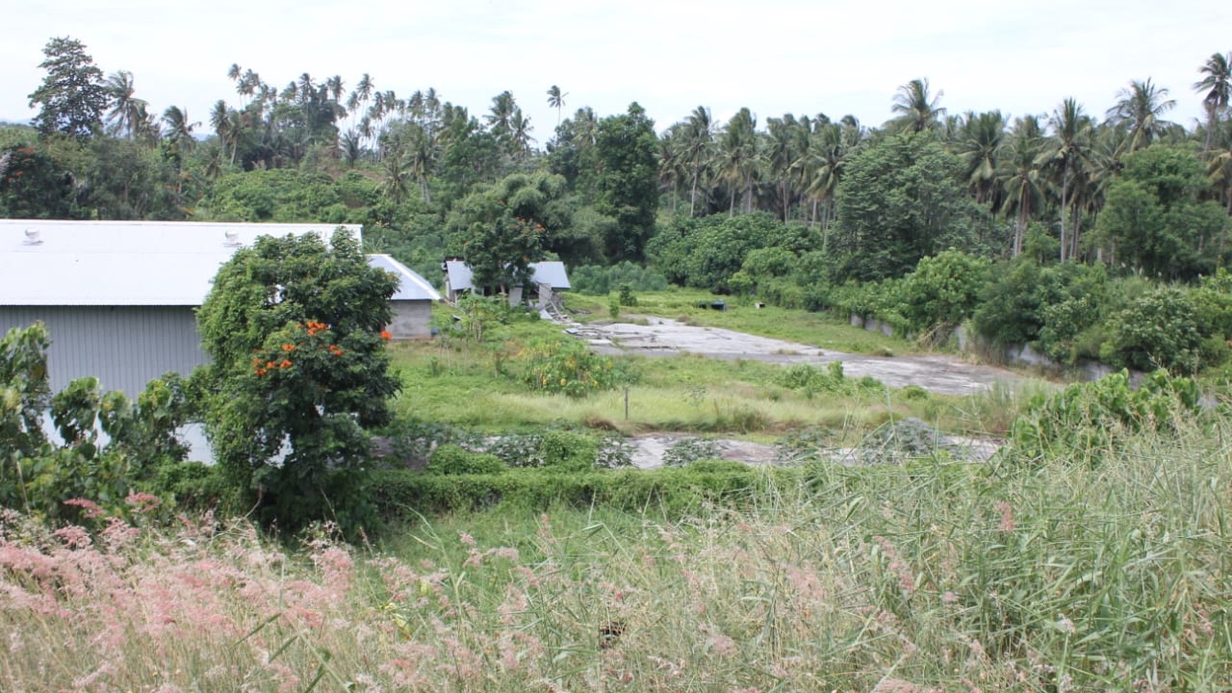 DIJUAL BEBERAPA GUDANG, BANGUNAN DAN DENGAN TANAH 2,5 HA DI KAWASAN (KEK) BITUNG BARAT, SULAWESI UTARA