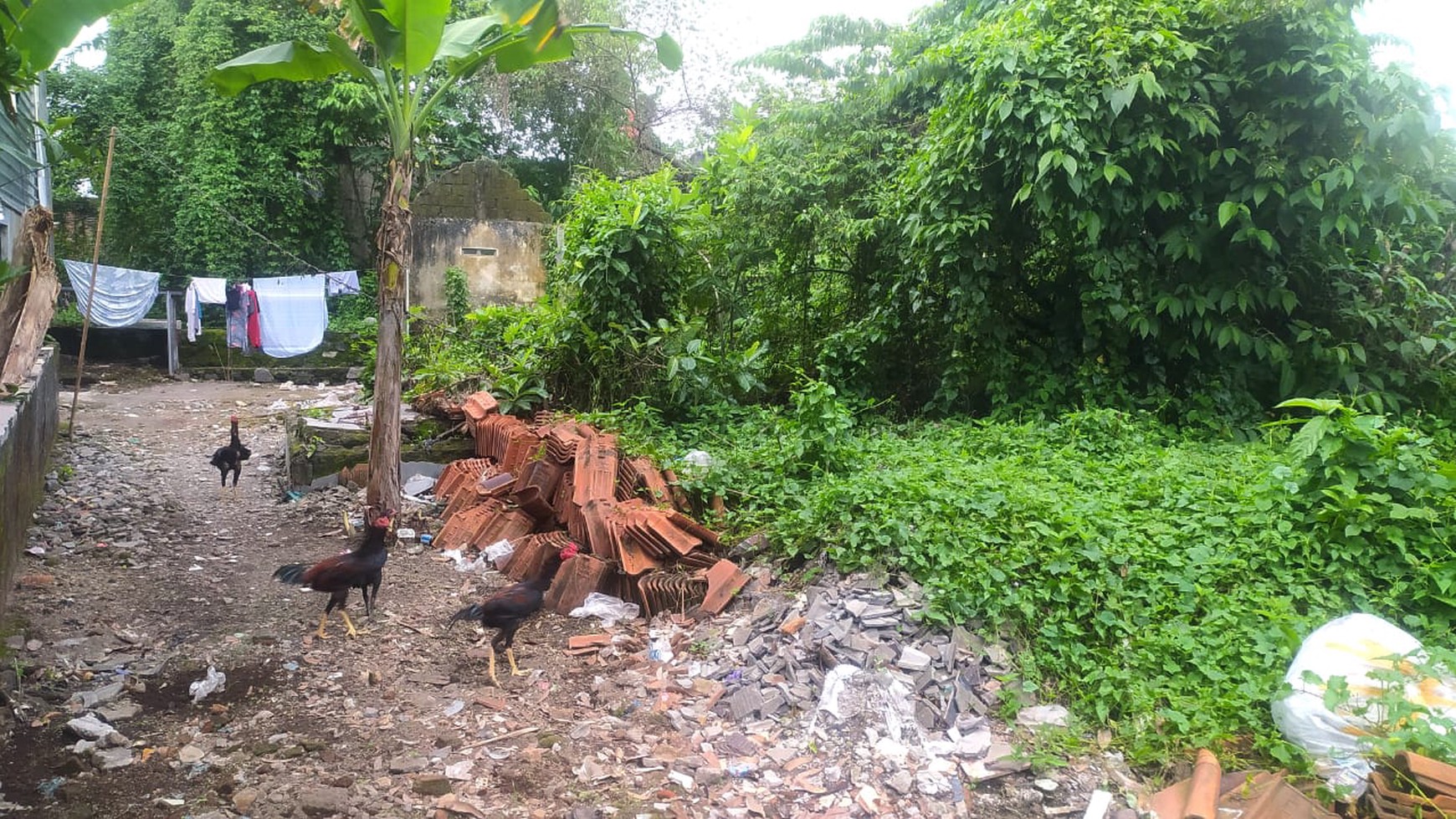 Disewakan Tanah Pekarangan luas 221 Meter Persegi Lokasi Strategis di Mlati Sleman 