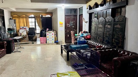 Rumah Asri, Halaman luas di Bintaro - Jakarta Selatan.