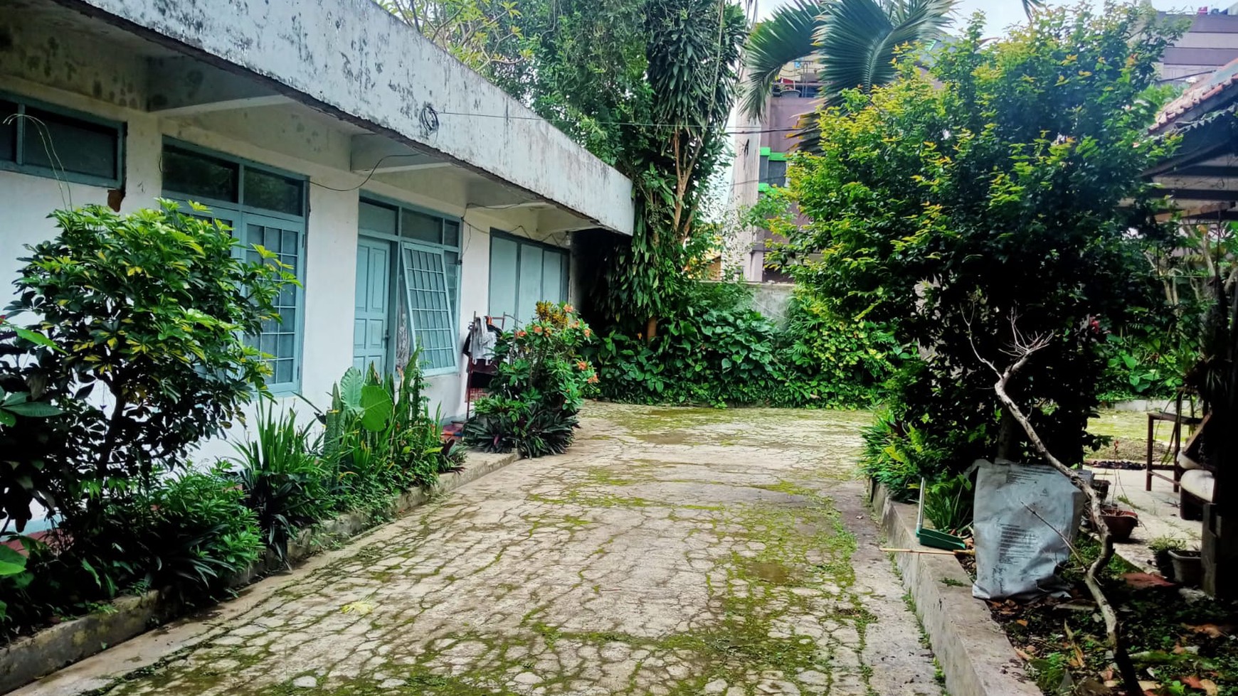 Rumah Asri Terawat di Sayap Pasteur, Bandung