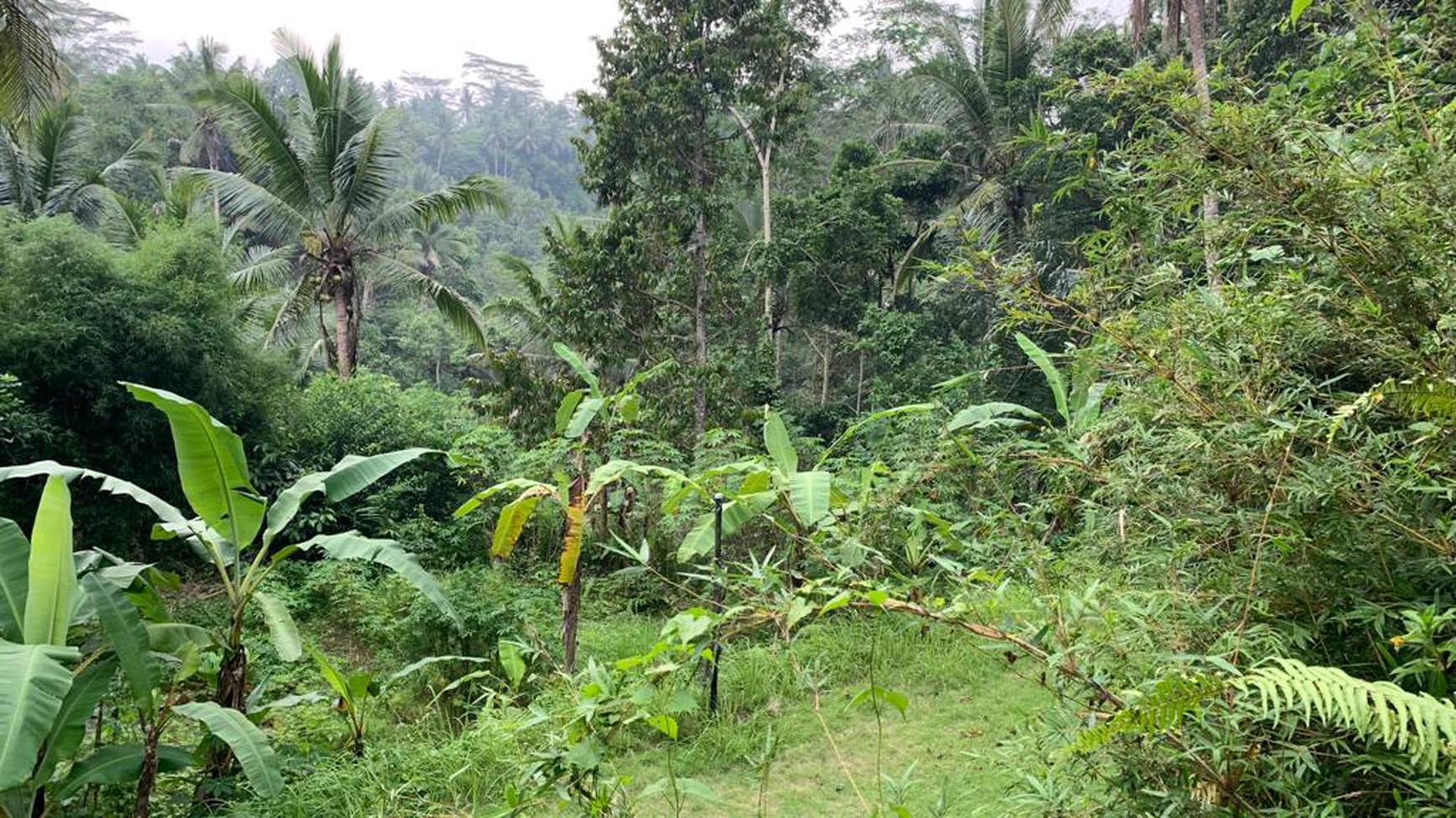 1,300 Sqm Of Freehold Land For Sale With Serene Views Of Valley