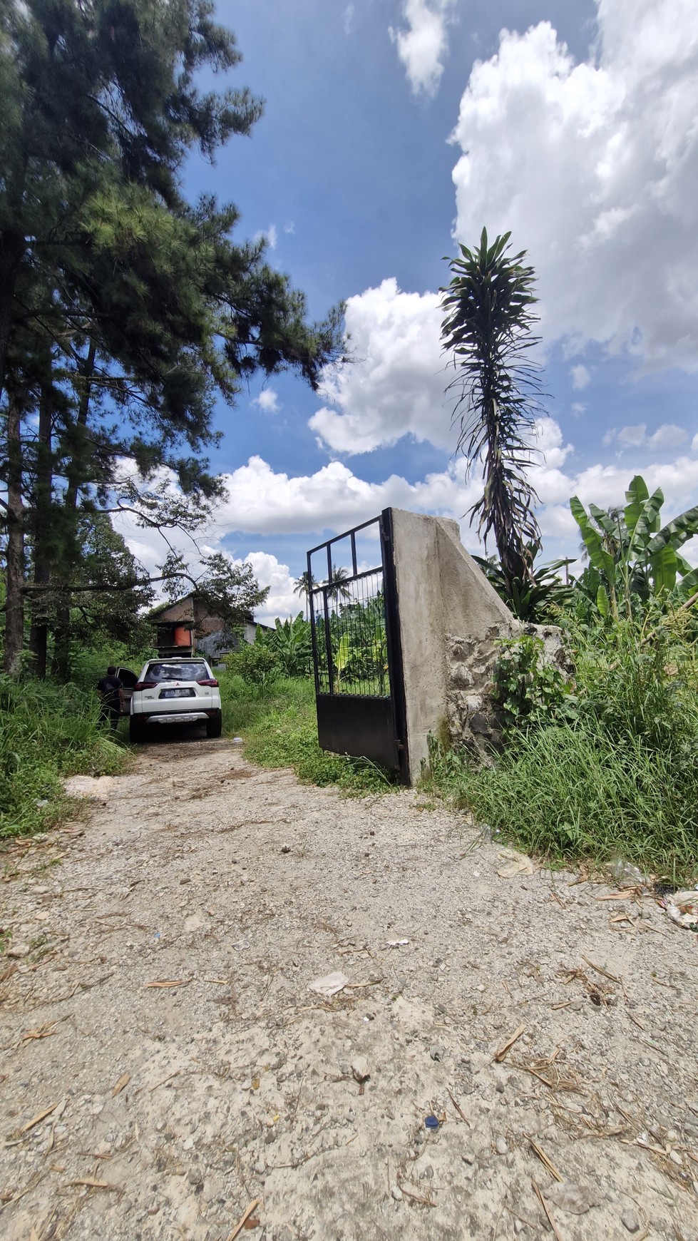 Dijual Cepat Tanah Luas Curug Agung, Depok