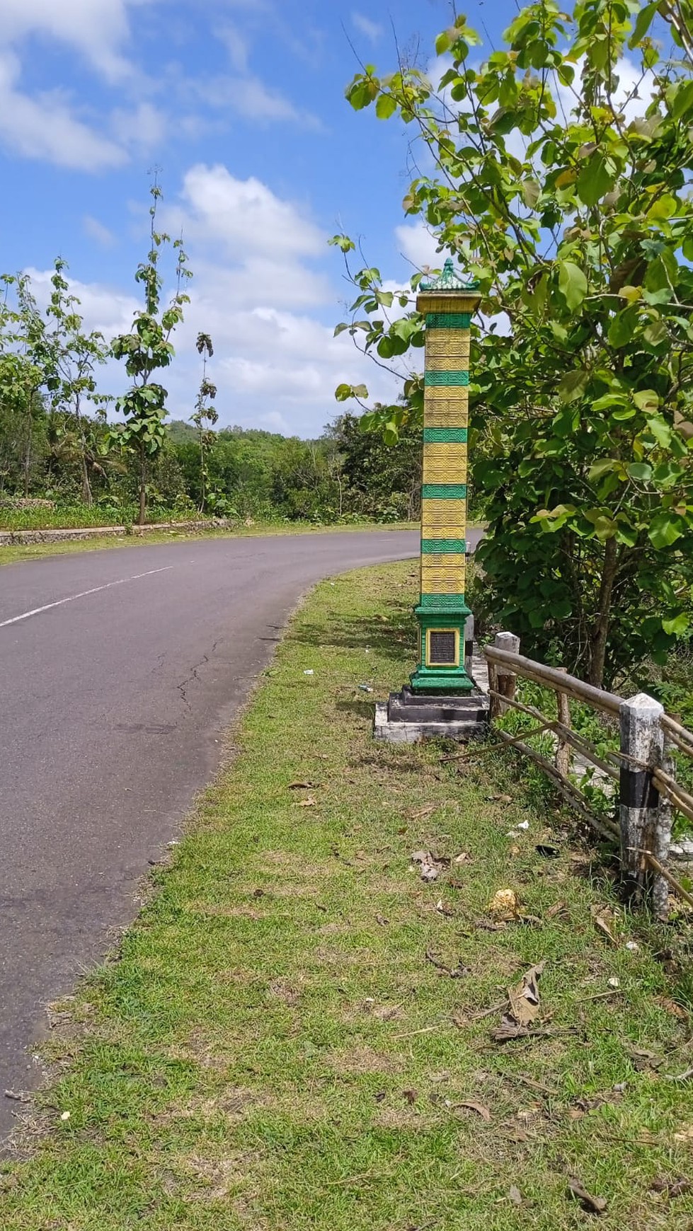 Tanah Sawah Luas 4973 Meter Persegi Lokasi Panggang Gunung Kidul 