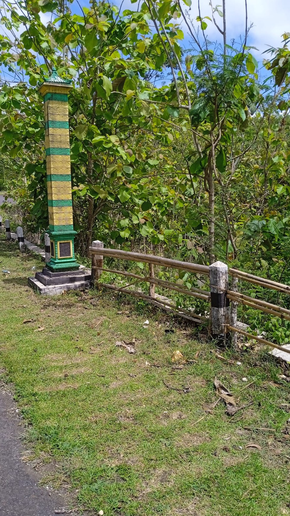 Tanah Sawah Luas 4973 Meter Persegi Lokasi Panggang Gunung Kidul 