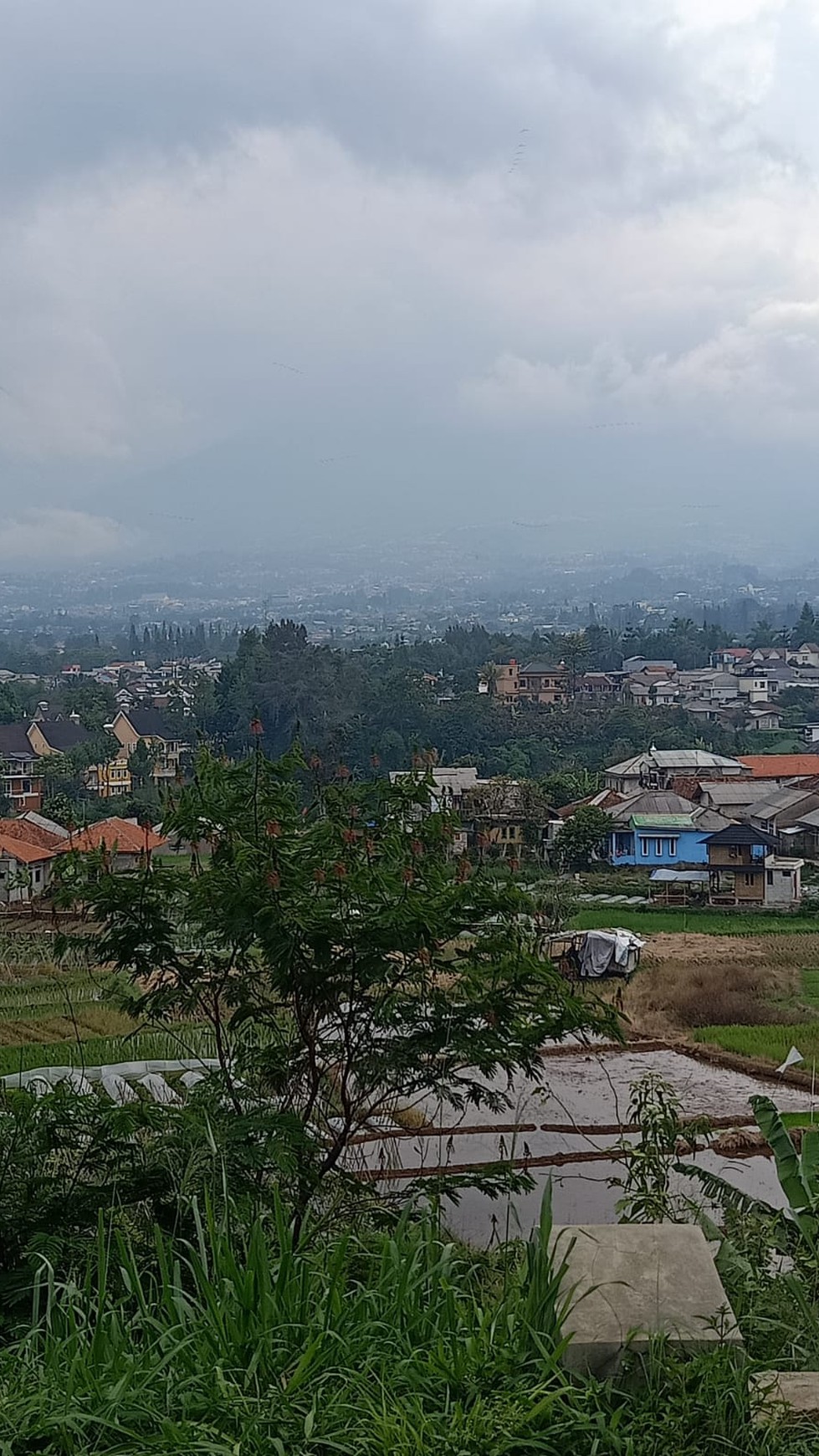 DIJUAL -  Villa dan Kebun dengan view menakjubkan