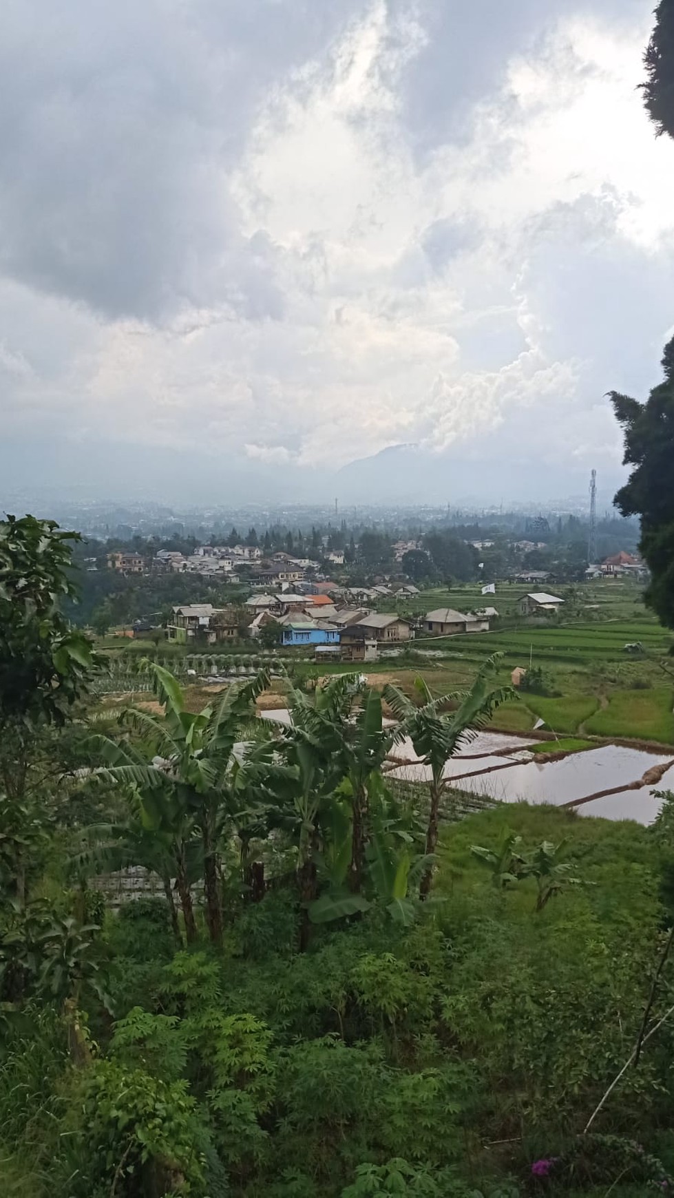 DIJUAL -  Villa dan Kebun dengan view menakjubkan