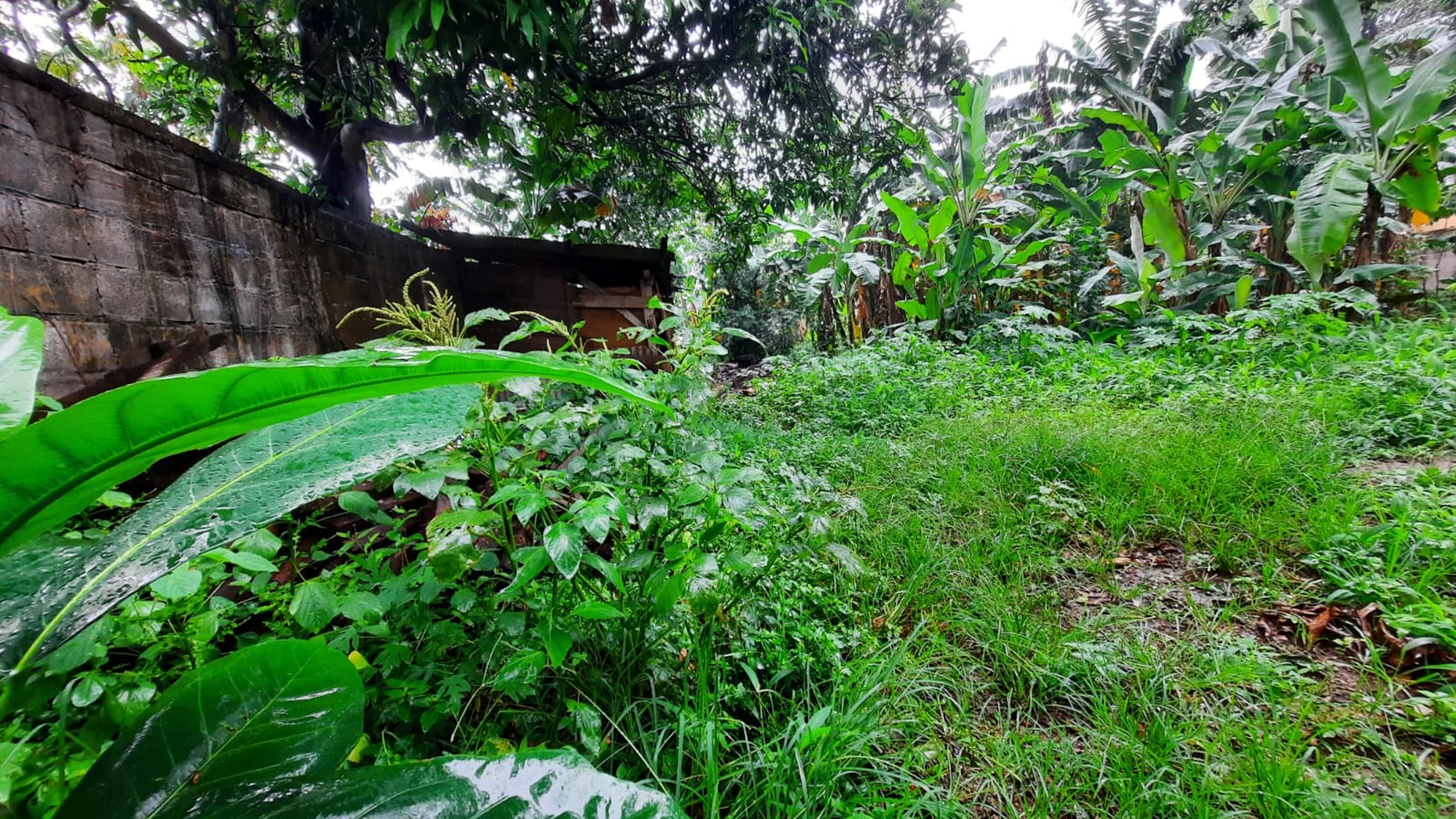 Kavling Siap Bangun, Lokasi Strategis dan Kawasan Ramai @Cempaka Putih, Ciputat Timur