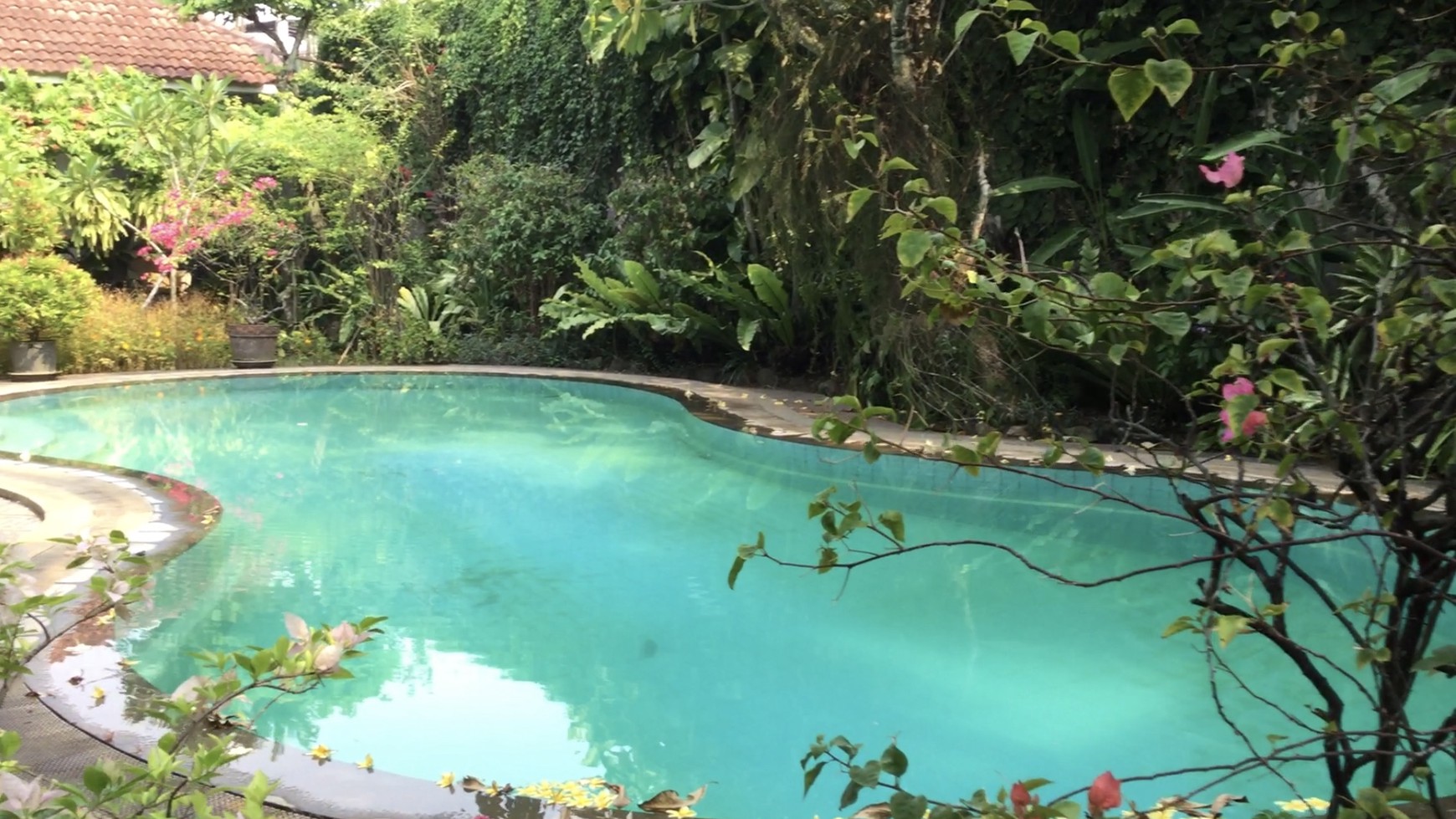 Rumah Bagus Di Jl Berlian, Cilandak Barat, Jakarta Selatan