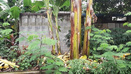 Kavling Bagus Dalam Komplek Siap Bangun Dekat Kampus STAN Di Area Pondok Jaya