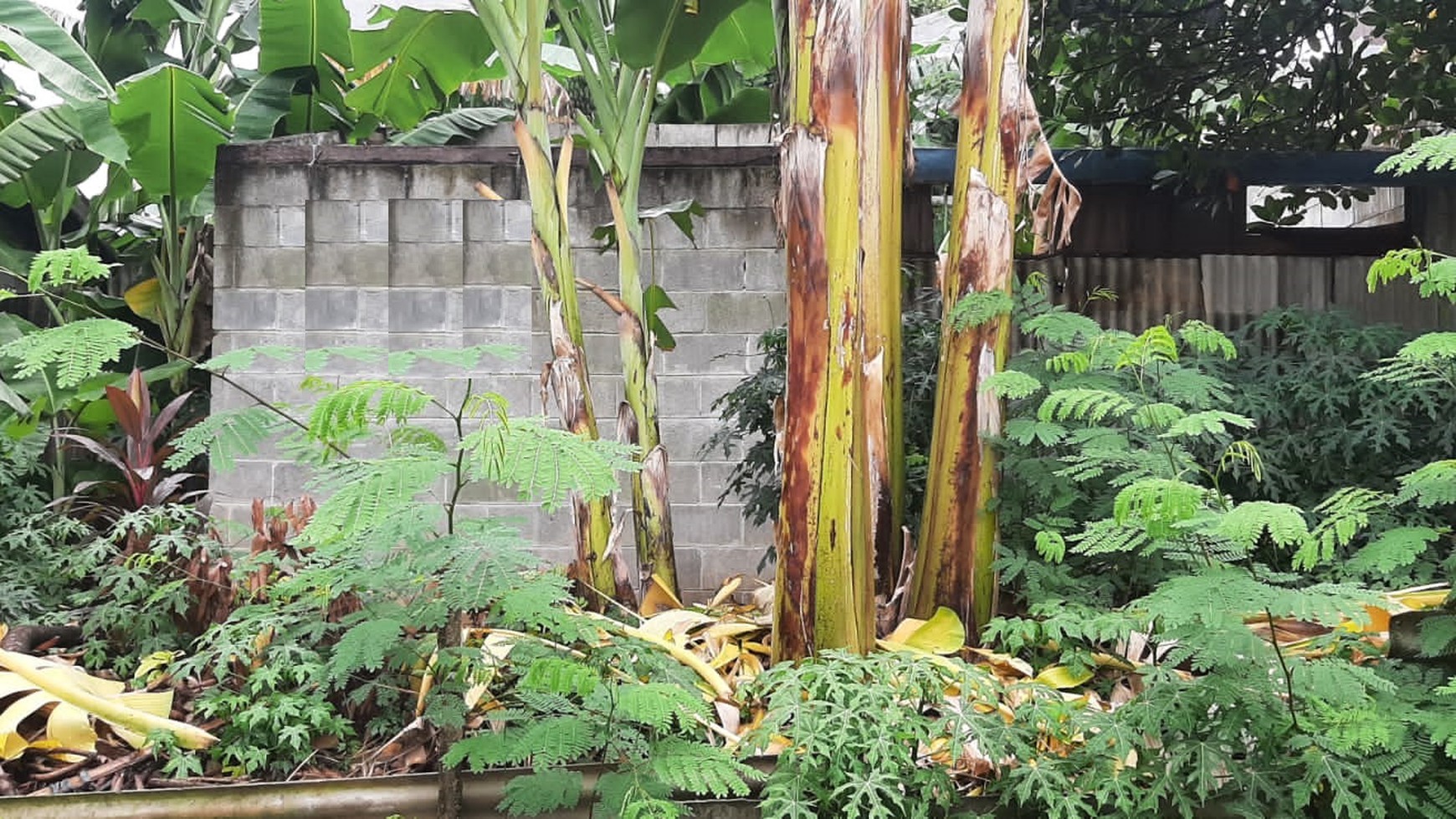 Kavling Bagus Dalam Komplek Siap Bangun Dekat Kampus STAN Di Area Pondok Jaya
