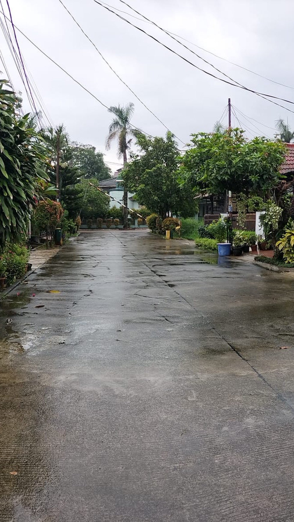 Rumah Siap Huni Bebas Banjir dan Lokasi Strategis di Pamulang