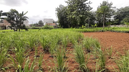 Tanah Harga Dibawah NJOP Diarea Cimanggis Depok  Akses Toll Jagorawi Akses Boluevard Cibubur