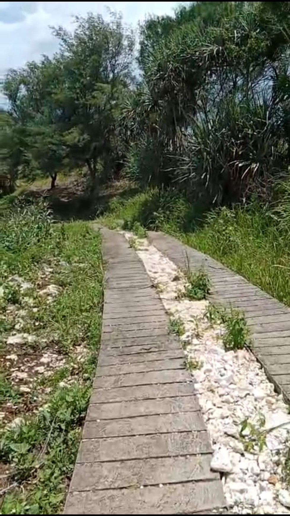 Tanah Eksklusif  5173 Meter Persegi Dekat Wisata Pantai Baron Gunung Kidul 