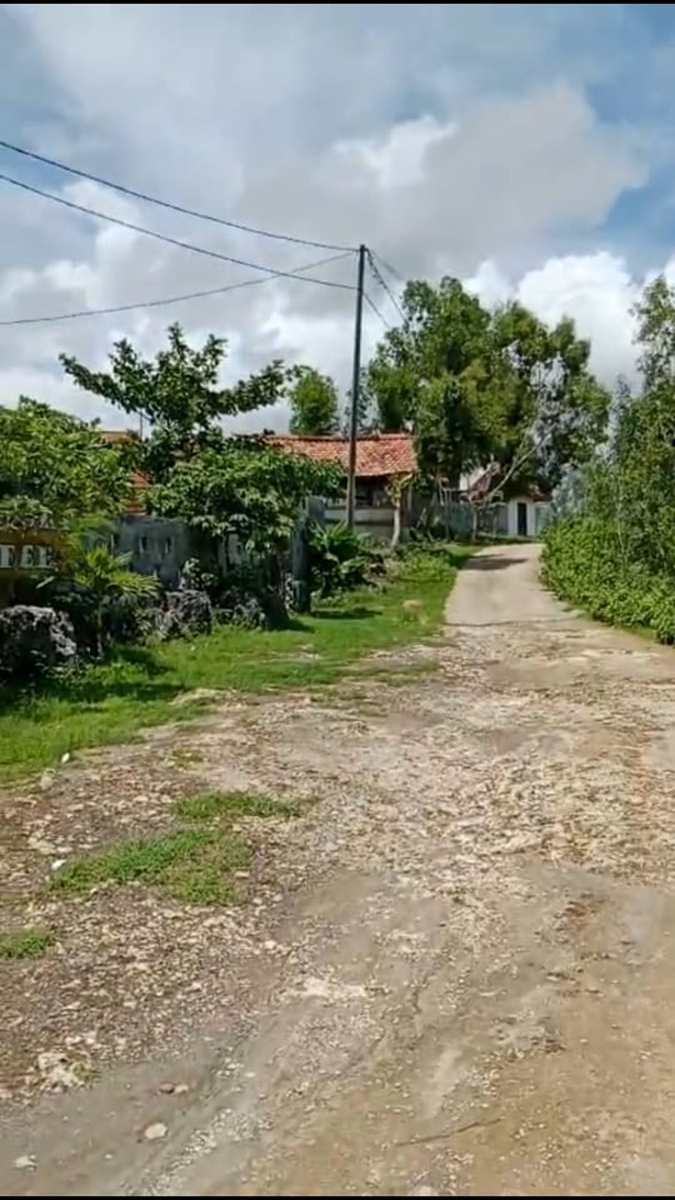 Tanah Eksklusif  5173 Meter Persegi Dekat Wisata Pantai Baron Gunung Kidul 
