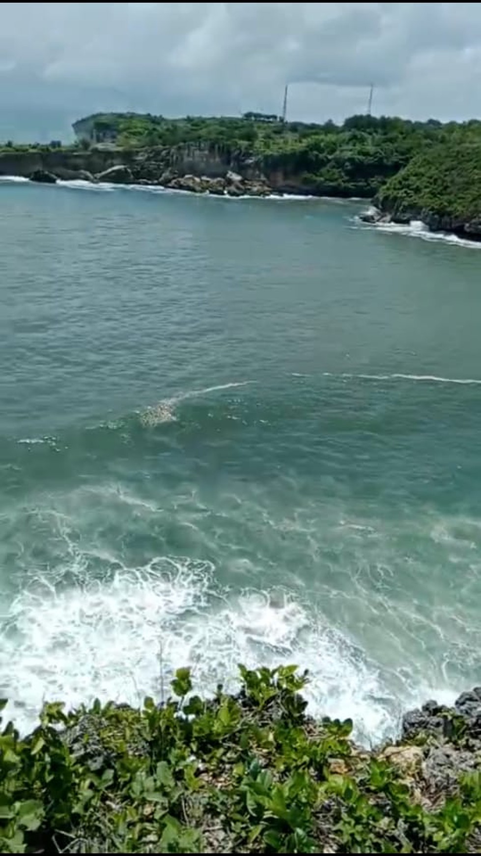 Tanah Eksklusif  5173 Meter Persegi Dekat Wisata Pantai Baron Gunung Kidul 