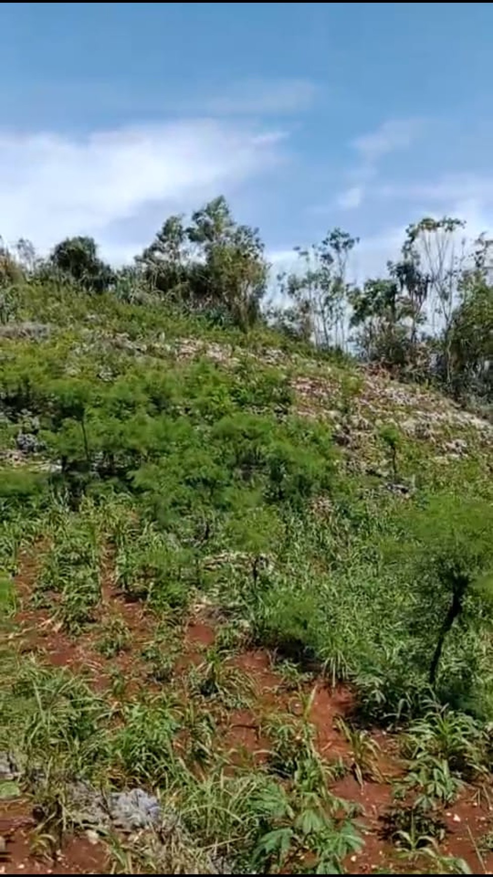 Tanah Eksklusif  5173 Meter Persegi Dekat Wisata Pantai Baron Gunung Kidul 