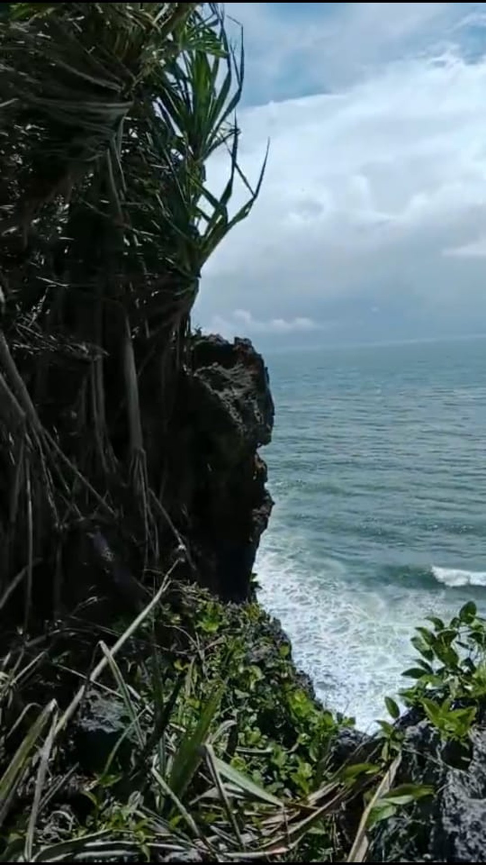 Tanah Eksklusif  5173 Meter Persegi Dekat Wisata Pantai Baron Gunung Kidul 
