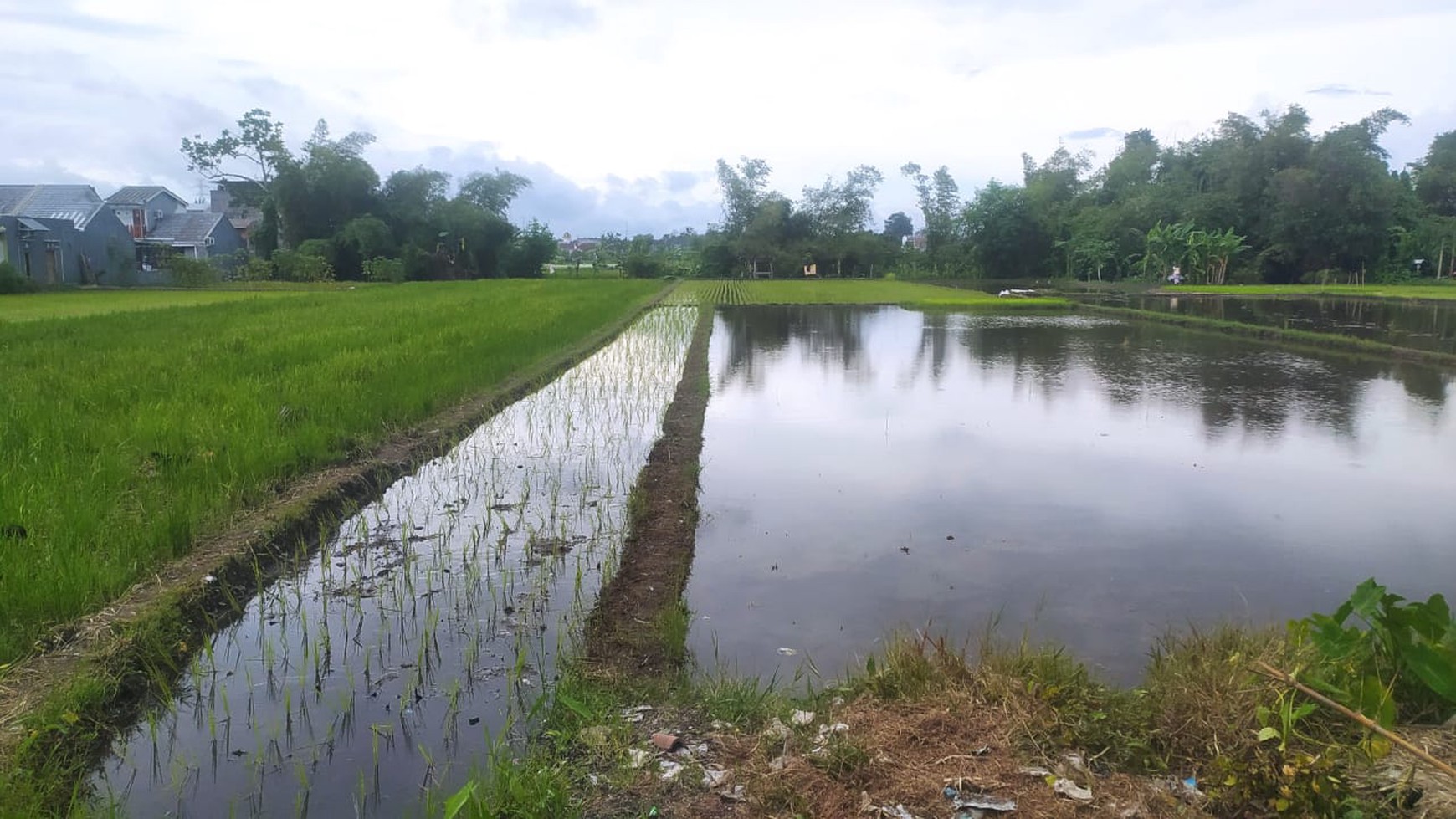Tanah Sawah 912 Meter Persegi Lokasi Dekat Terminal Giwangan Banguntapan Bantul