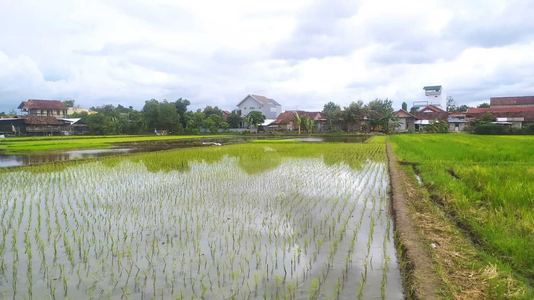 Tanah Sawah 912 Meter Persegi Lokasi Dekat Terminal Giwangan Banguntapan Bantul