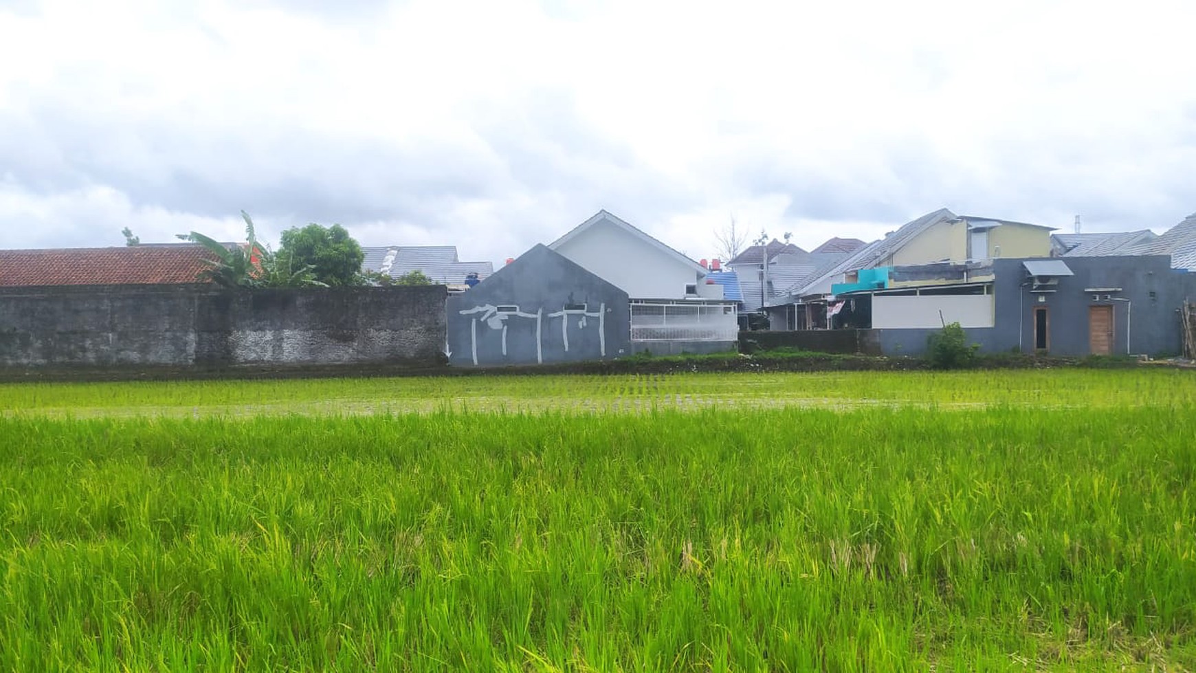 Tanah Sawah 912 Meter Persegi Lokasi Dekat Terminal Giwangan Banguntapan Bantul