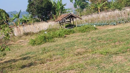 Dijual Tanah Subur Maribaya View Tangkuban Perahu 