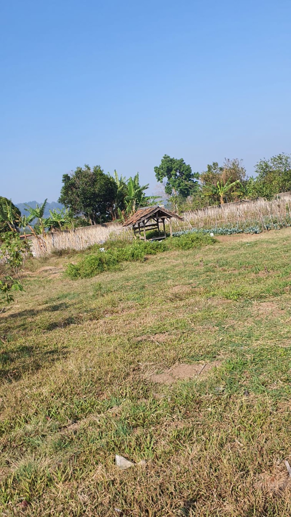 Dijual Tanah Subur Maribaya View Tangkuban Perahu 