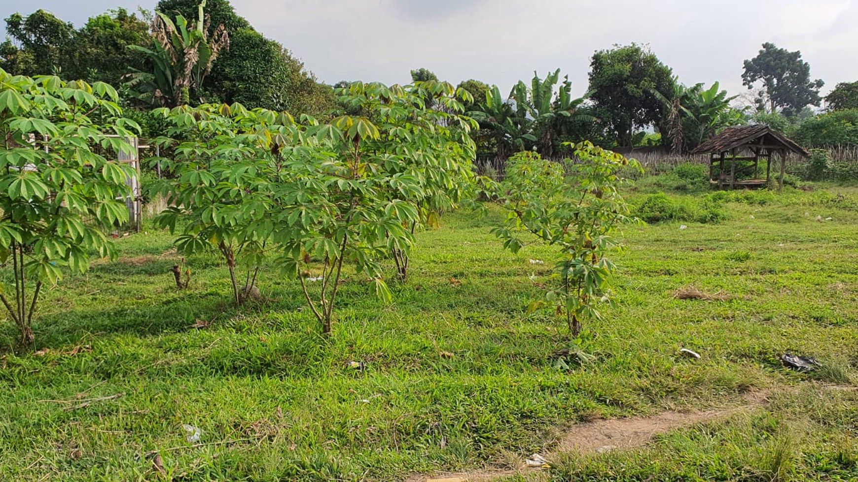 Dijual Tanah Subur Maribaya View Tangkuban Perahu 