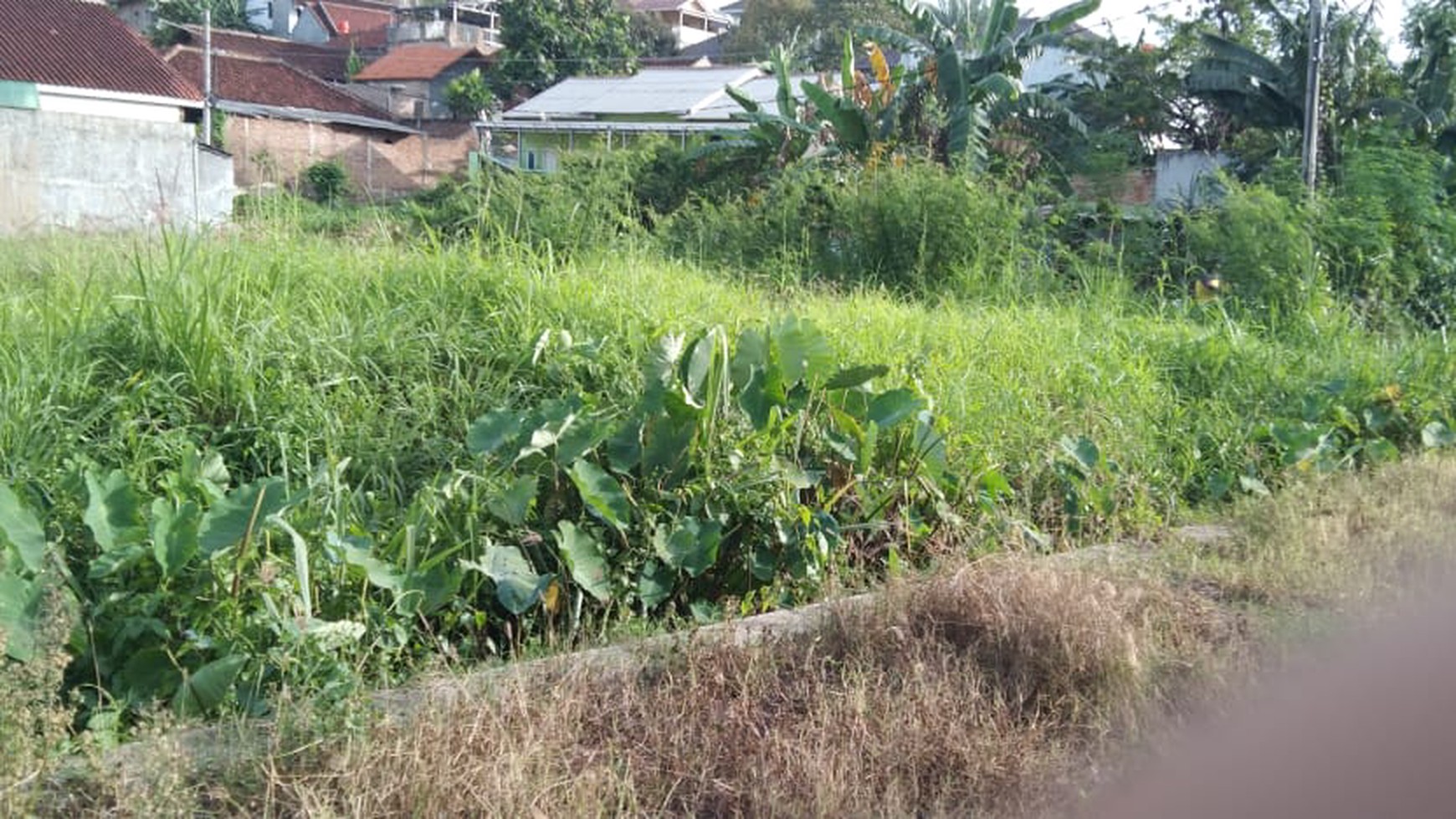 Tanah Samping Perumahan Griyo Moro  Susunan Baru Dijual Cepat
