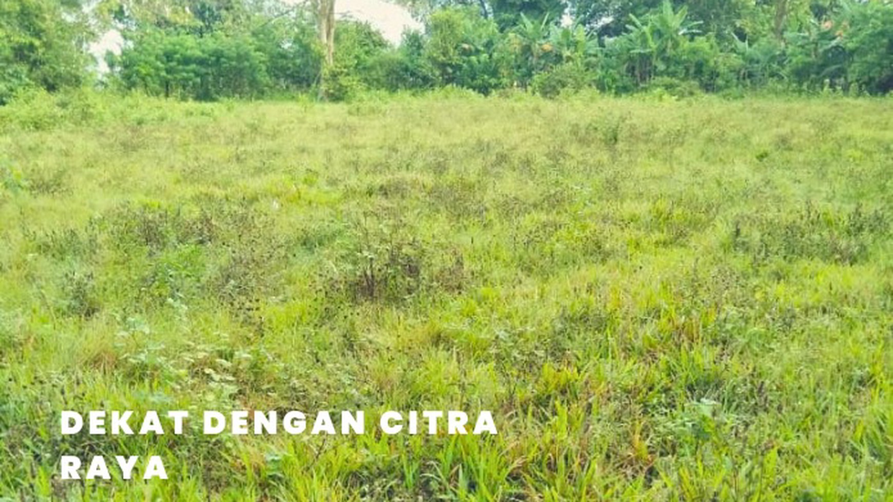 Dijual Kavling Luas dan Strategis di Sempur Cikupa Tangerang