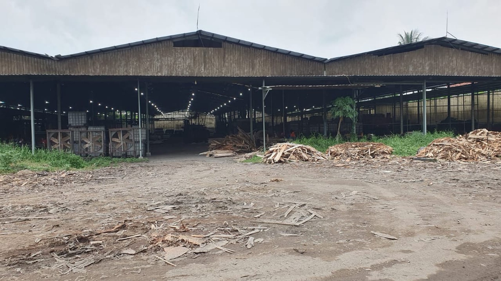 Dijual.1,3 Ha Pabrik Lempeni - Tempeh - Kab.Lumajang - Jawa Timur plus MESIN lengkap