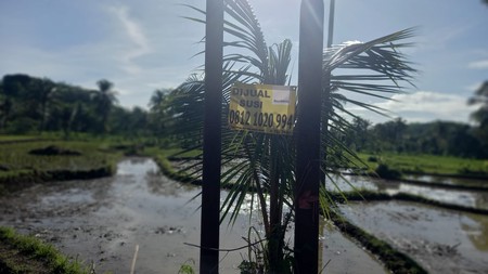 Dijual Tanah Sawah Desa Cibodas , Sukabumi 