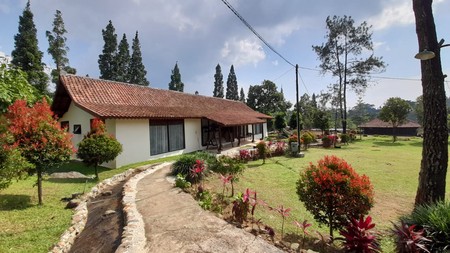 Di Jual COTTAGE di Jl Padat Karya Batukasur, Desa Batulayang Cisarua Bogor Jawa Barat