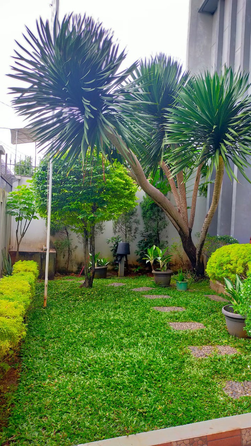 Rumah bagus modern minimalis Cilandak Barat