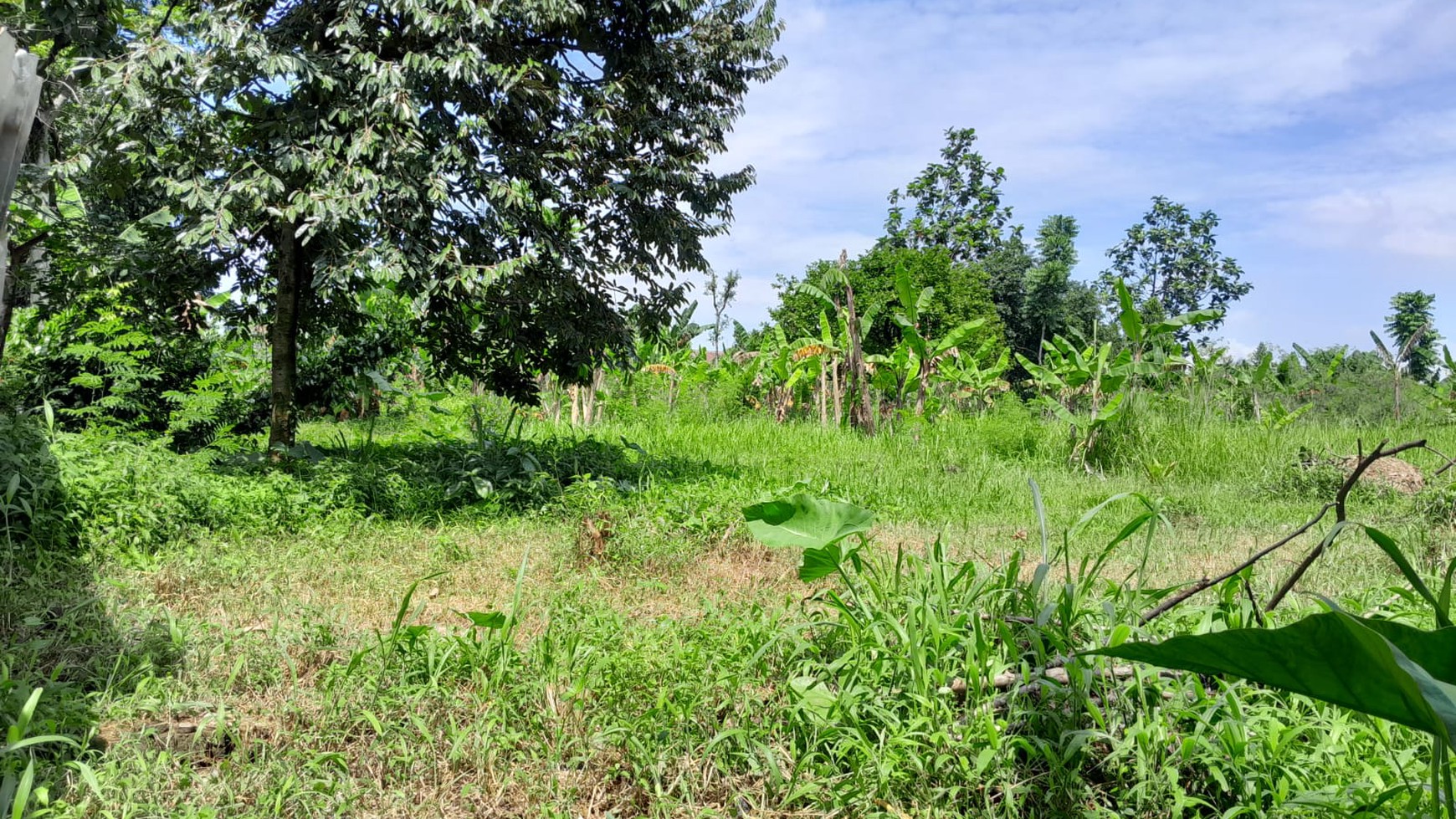 Kavling Siap Bangun Di Jl H Mawi, Parung Bogor