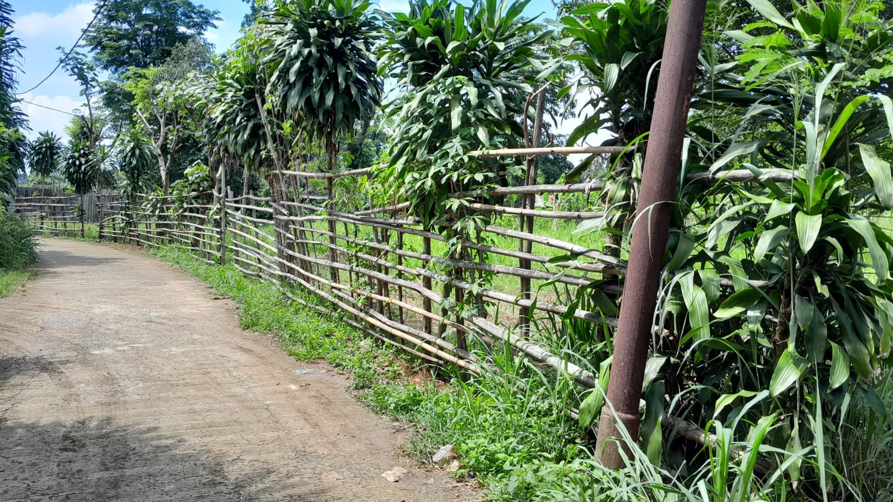 Kavling Siap Bangun Di Jl H Mawi, Parung Bogor