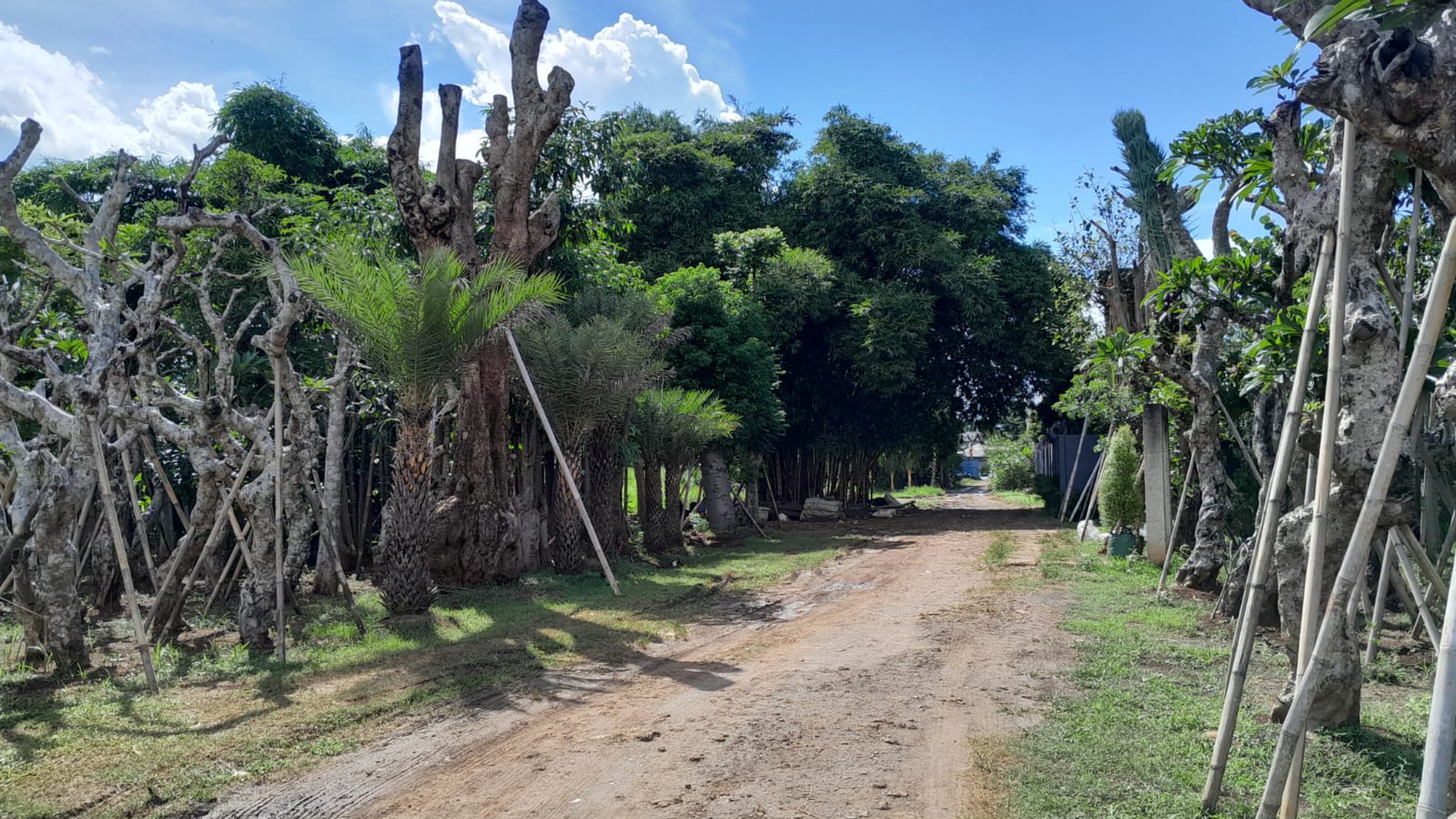 Kavling Siap Bangun Di Jl Raya Parung Bogor Jawa Barat