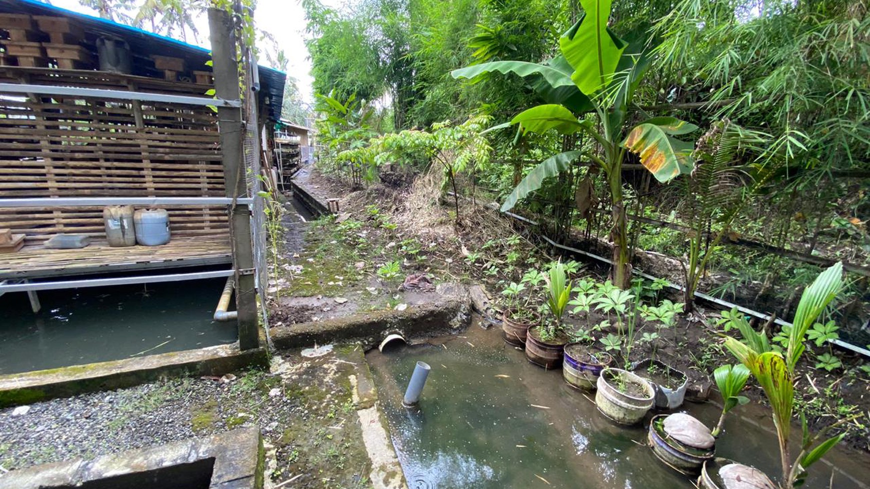 Freehold - Expansive Residence and Warehouse Compound in Blahbatuh, Gianyar