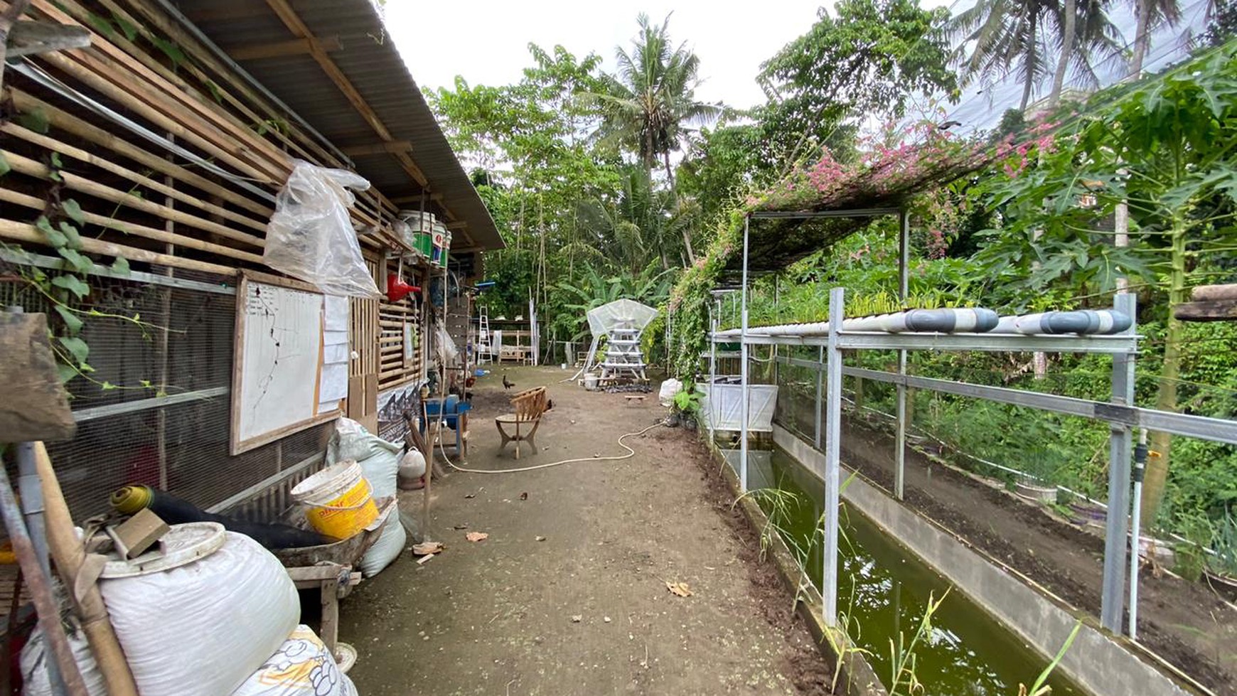 Freehold - Expansive Residence and Warehouse Compound in Blahbatuh, Gianyar