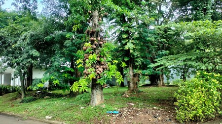 Termurah. Kavling bagus The Green Manhattan Forum BSD