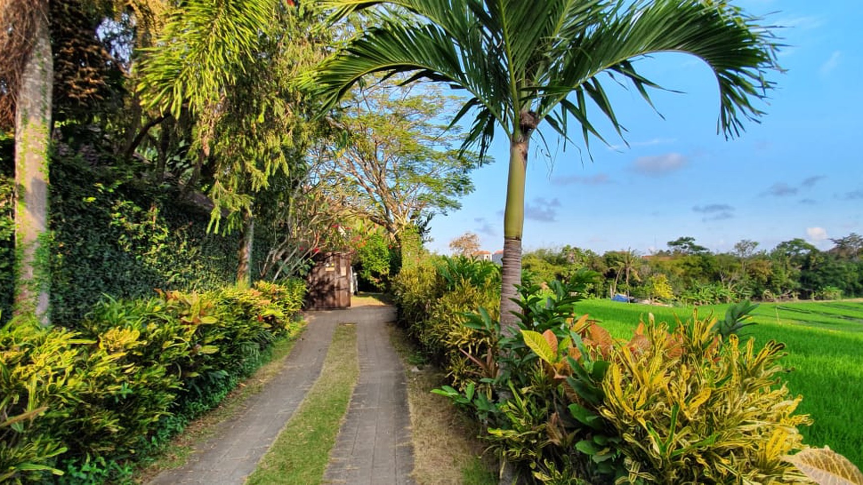 Villas Freehold In great Location Close to Echo Beach Canggu