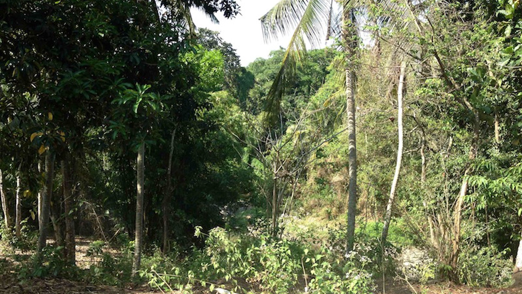 Exclusive plot of land for sale (freehold) - Nyanyi Beach.