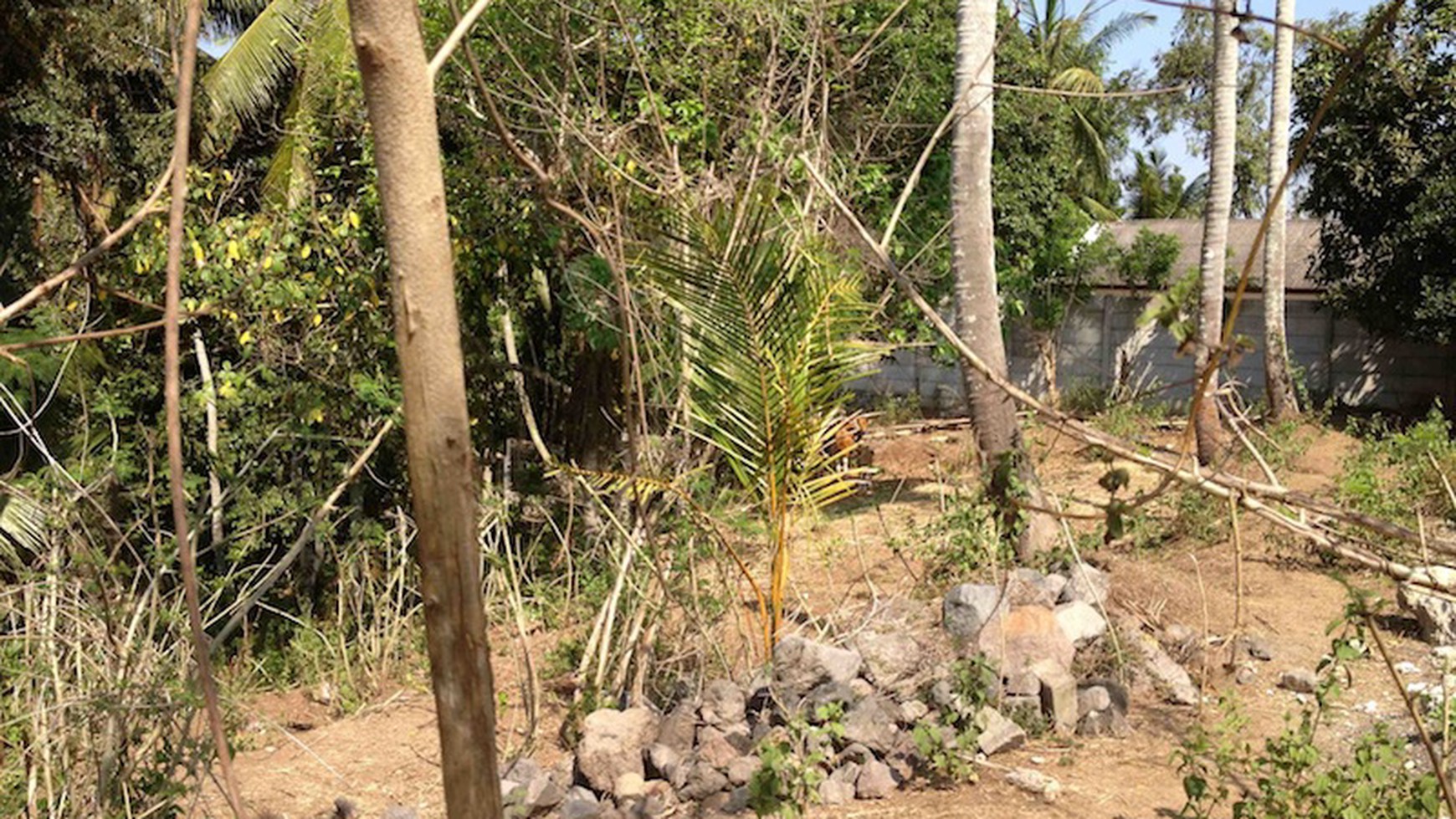 Exclusive plot of land for sale (freehold) - Nyanyi Beach.