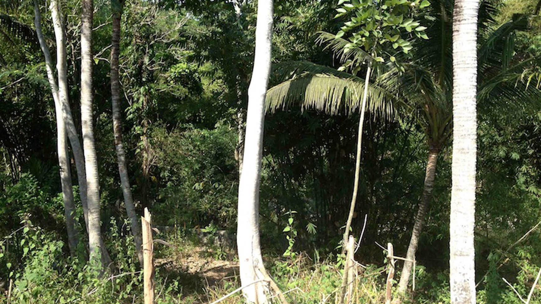 Exclusive plot of land for sale (freehold) - Nyanyi Beach.