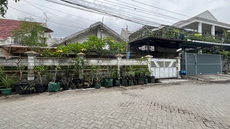 Rumah Asri Dharmahusada Pusat Kota Surabaya
