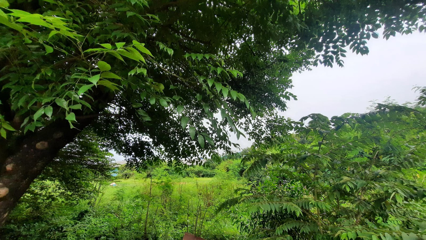 TANAH DAN BANGUNAN RUKO DI LOKASI STRATEGIS PINGGIR JALAN DI KARAWANG TIMUR