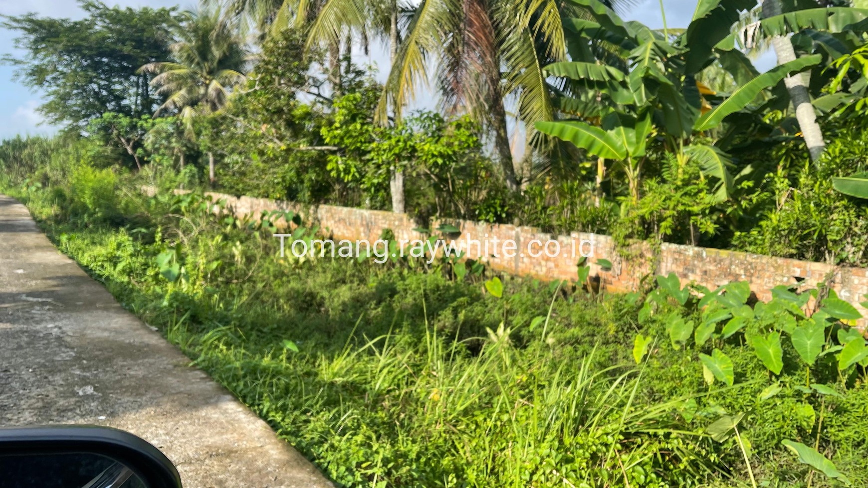 Tanah Sei Selincah. Strategis pinggir sungai Musi. Akses Vessel / Tongkang. Cocok industri atau Pariwisata