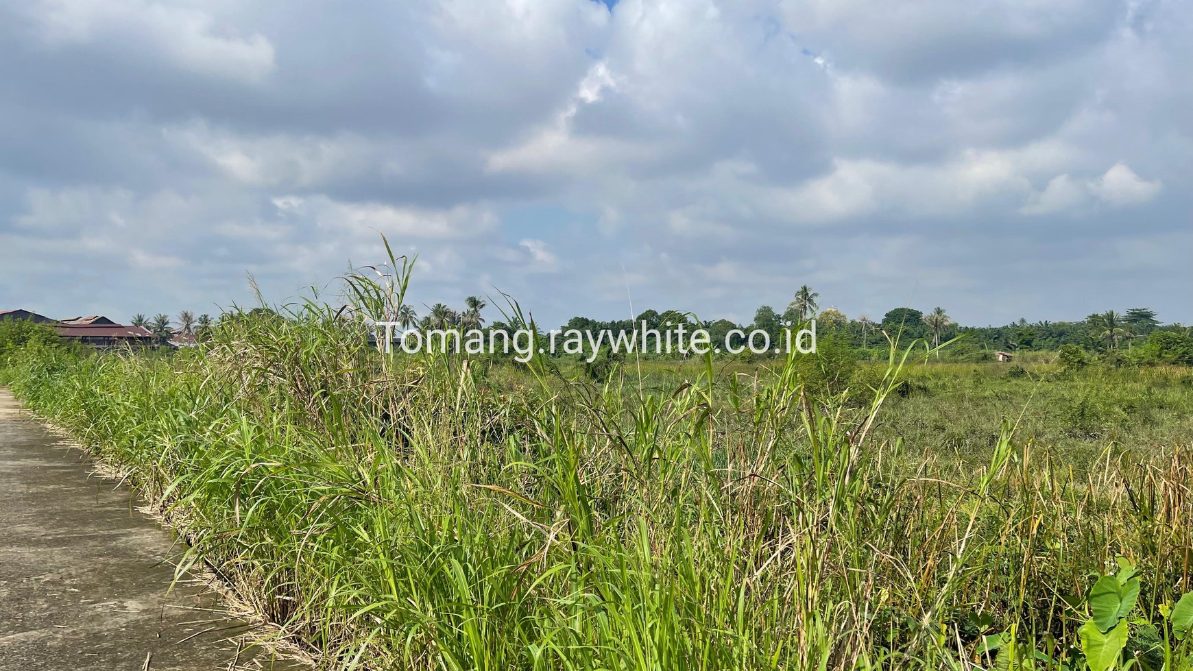 Tanah Sei Selincah. Strategis pinggir sungai Musi. Akses Vessel / Tongkang. Cocok industri atau Pariwisata