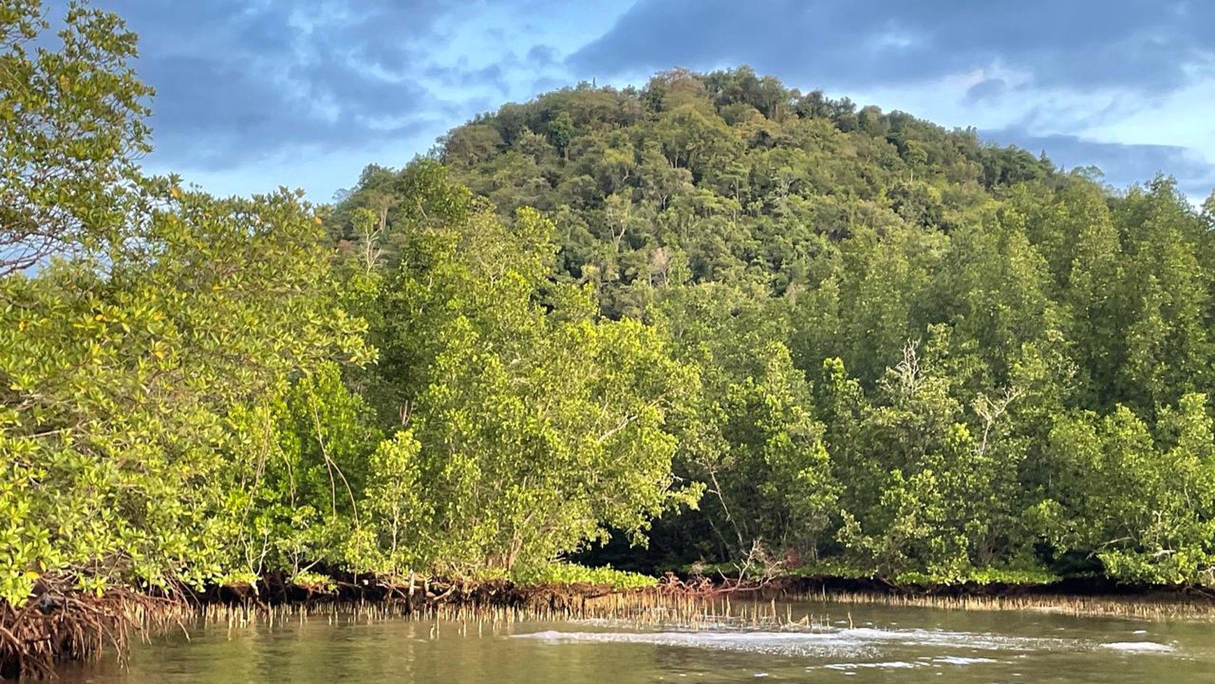 FREEHOLD LAND RANGKO CAVE LABUAN BAJO