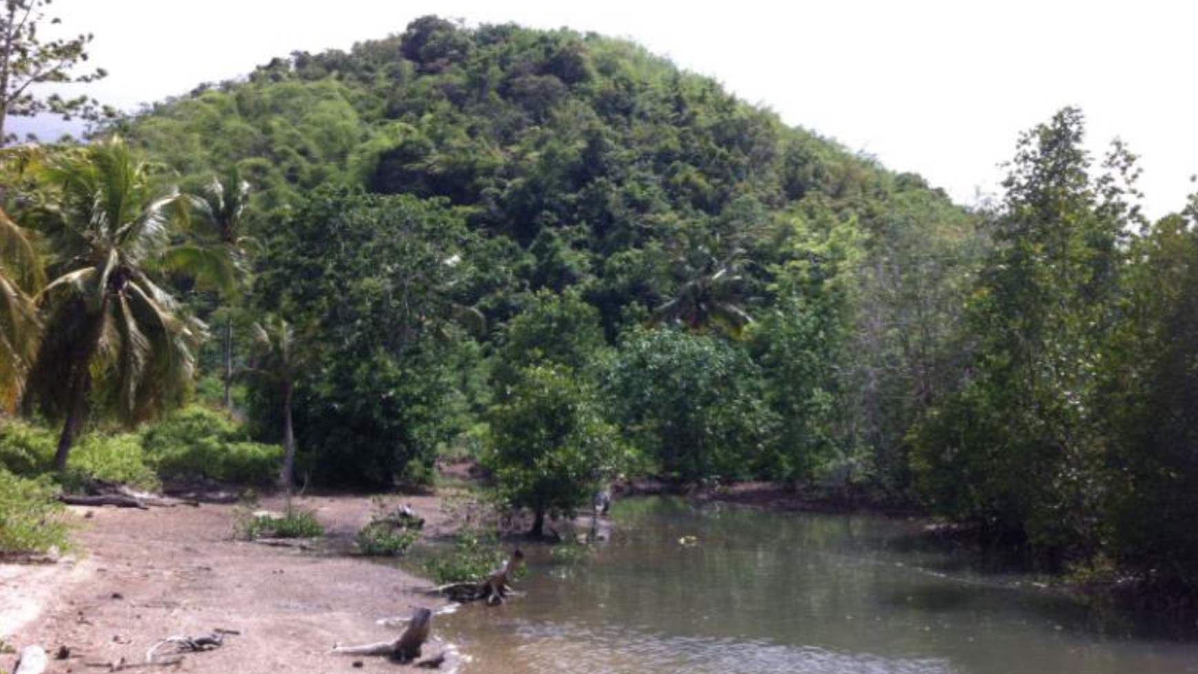 FREEHOLD LAND RANGKO CAVE LABUAN BAJO